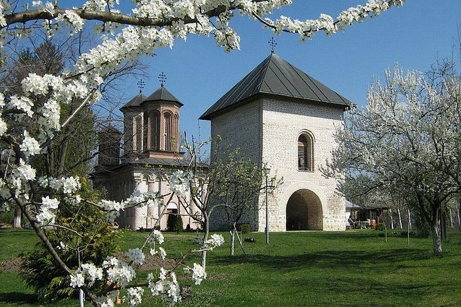 Dracula's Tomb and Mogosoaia Palace, Private Tour from Bucharest - Should you book Dracula’s Tomb and Mogosoaia Palace?