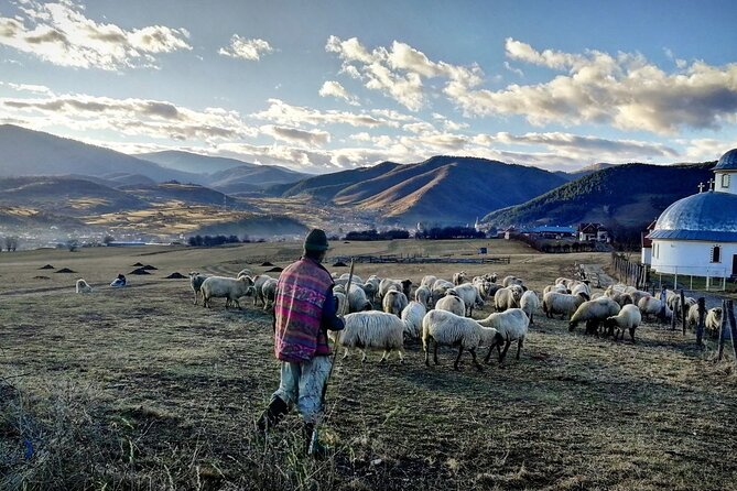 Exclusive Tour: Corvin Castle, Alba Iulia and traditional villages from Sibiu - The village road through Sibiel, Orlat, Poplaca, and Rasinari