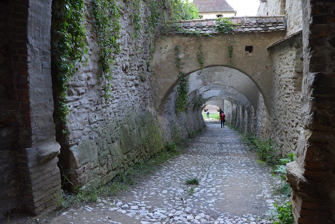 Exclusive tour: Sighisoara, Medias and Biertan tour from Sibiu - What the small minivan changes