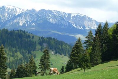 Excursión en Moeciu de Sus (recomendado para familias) con guía español nativo.