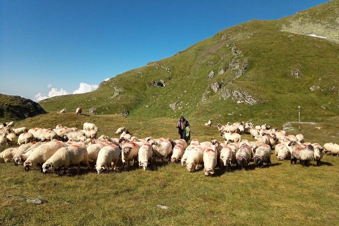 Expedition in Fagaras Mountains from Brasov (Private Tour!) - Day 1: From Sambata de Sus into the high country