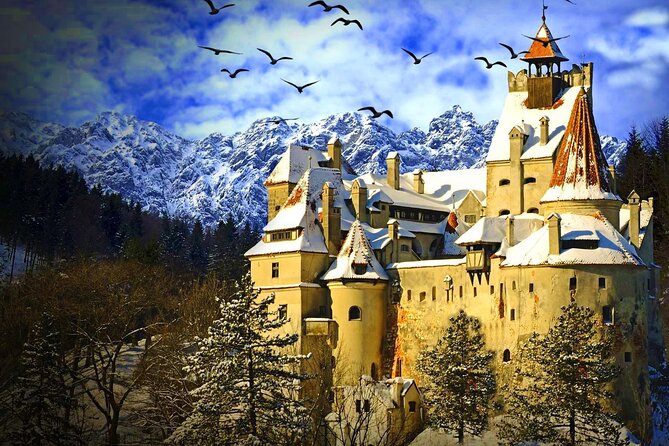 Explore Transylvania: Dracula, Peles Castle & Brasov Private Tour - A long but rewarding road from Bucharest