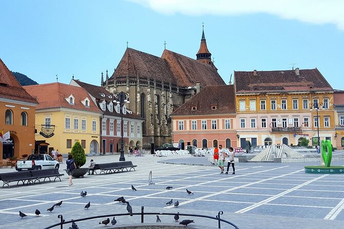 Explore Transylvania: Dracula, Peles Castle & Brasov Private Tour - What the private guide adds
