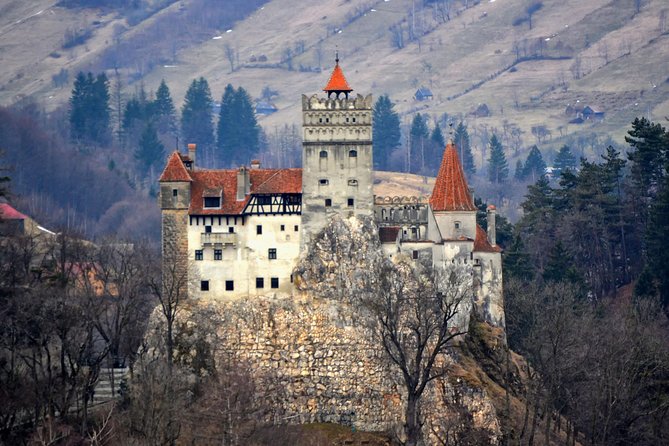 Explore Transylvania: Dracula, Peles Castle & Brasov Private Tour - Peles Castle, the royal surprise near Sinaia
