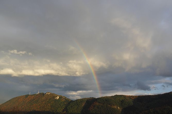From Brasov: Discover Bran Castle and Râșnov Fortress - Two castles, two very different stories