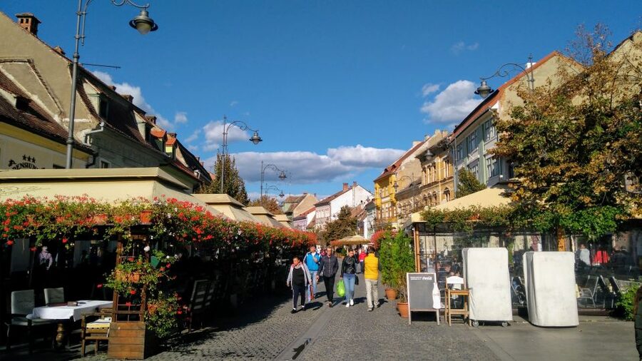 From Brasov: Guided Sighisoara and Sibiu Private Day Trip - What the guide adds
