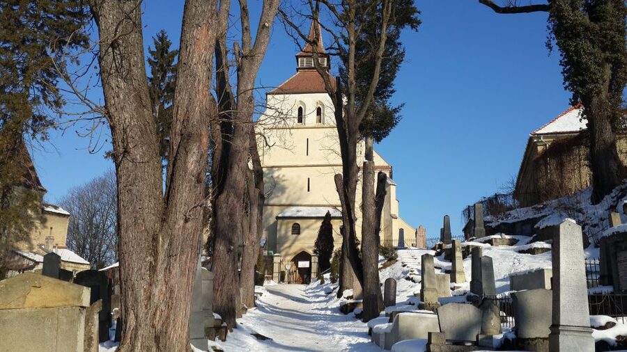 From Brasov: Guided Sighisoara and Sibiu Private Day Trip - Walking, weather, and the Monday warning