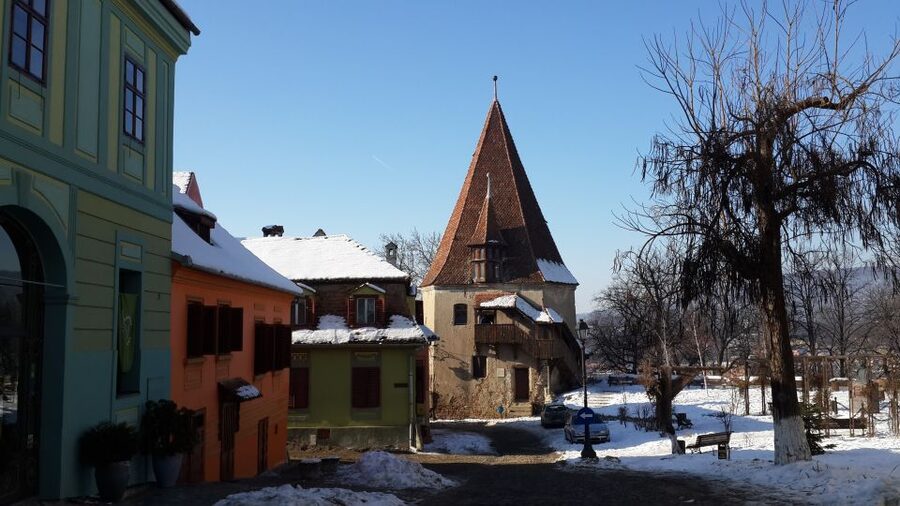 From Brasov: Guided Sighisoara and Sibiu Private Day Trip - Who should book this tour?