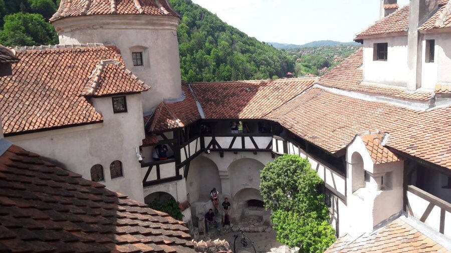 From Brasov: Peles Castle, Bran Castle & Cantacuzino Castle - Three castles, three very different moods