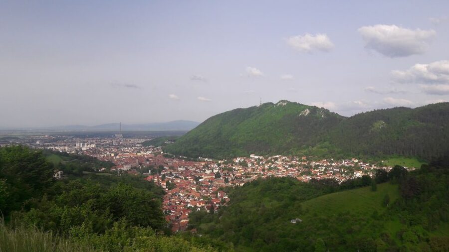 From Brasov: Peles Castle, Bran Castle & Cantacuzino Castle - Lunch, coffee, and local food advice