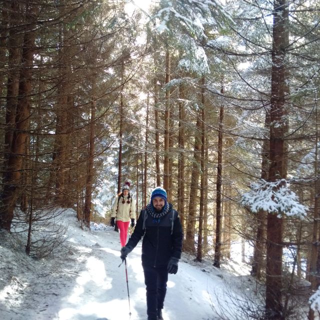 From Brasov: Piatra Craiului National Park Private Day Tour - Key points to know before you book