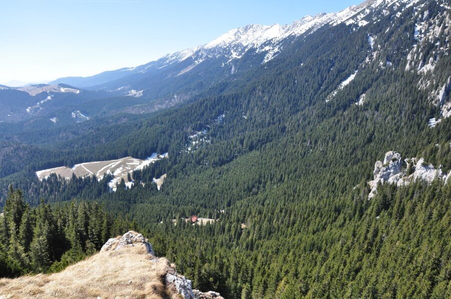 From Brasov: Piatra Craiului National Park Private Day Tour - Lunch at a mountain hut or village