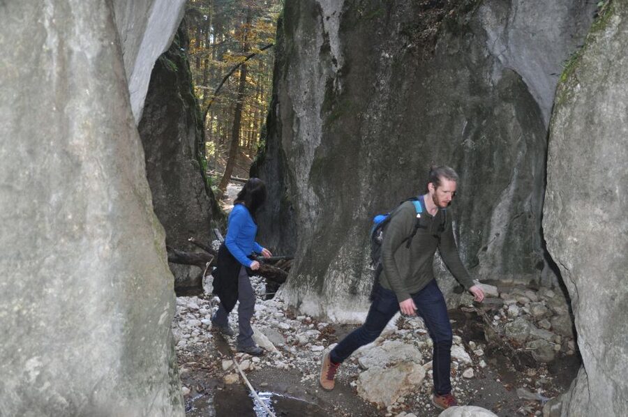 From Brasov: Piatra Craiului National Park Private Day Tour - What $111 buys you