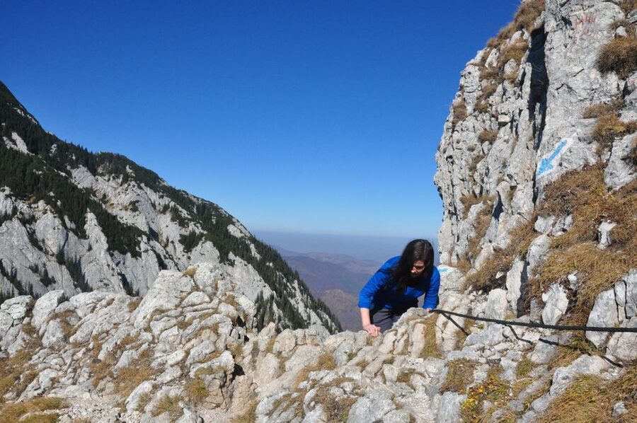 From Brasov: Piatra Craiului National Park Private Day Tour - Choosing between two mountain routes