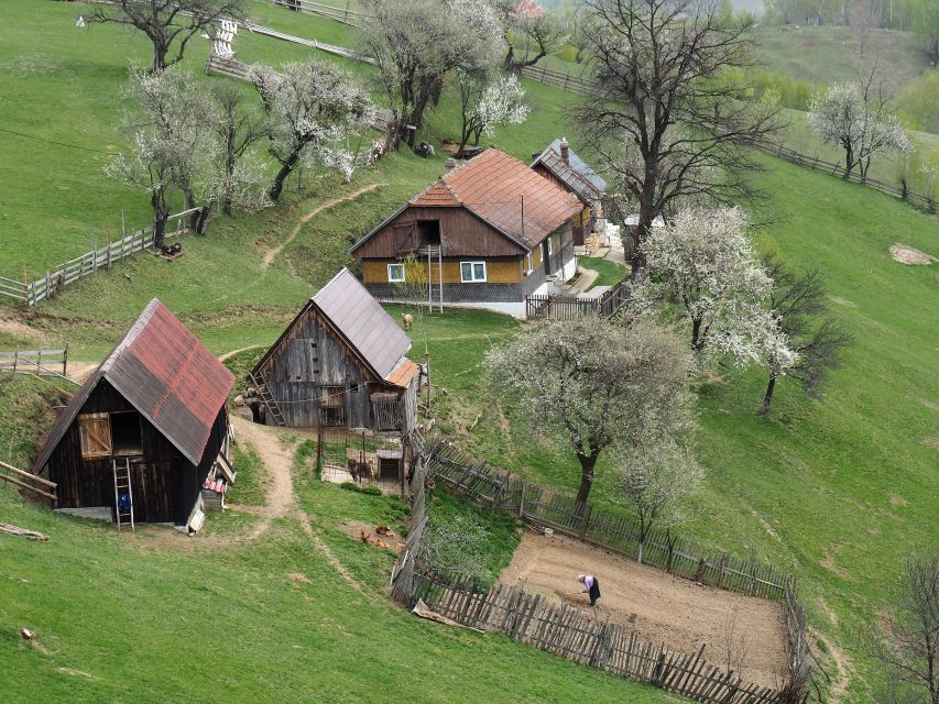 From Brasov: Romanian Mountain Villages Day Tour - Key points to know before you go