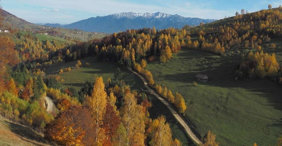 From Brasov: Romanian Mountain Villages Day Tour - Why this is one of Brașov’s better day trips