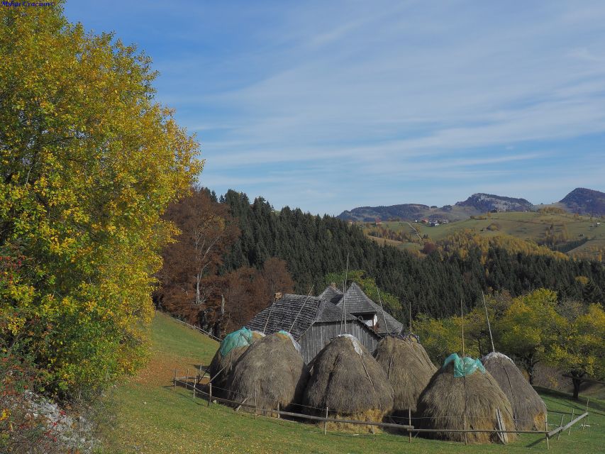 From Brasov: Romanian Mountain Villages Day Tour - Hiking from Magura through the Carpathian hills