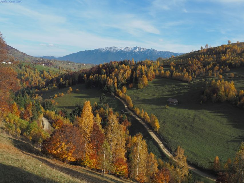 From Brasov: Romanian Mountain Villages Day Tour - Pestera and Magura, two villages with a working rhythm
