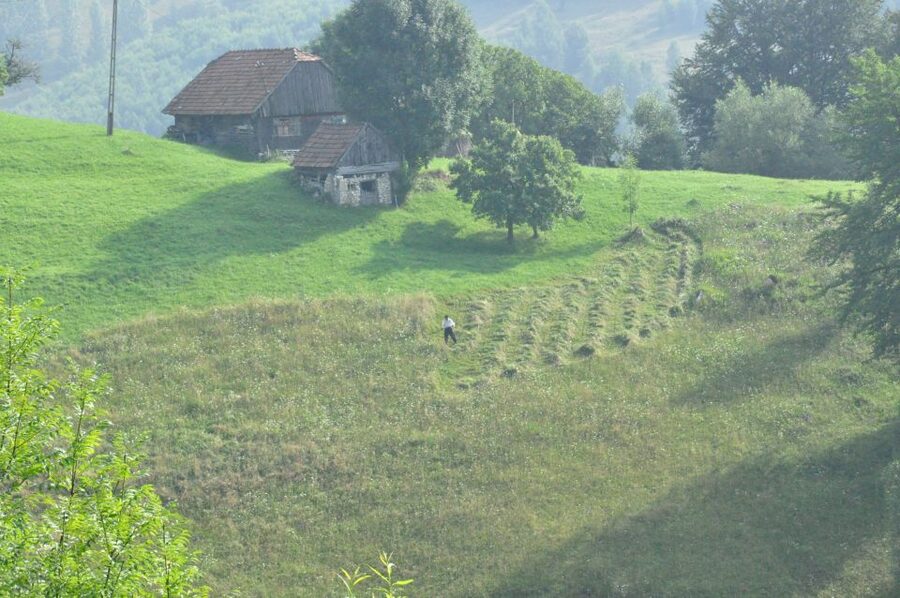 From Brasov: Romanian Mountain Villages Day Tour - Who should book this mountain village tour?