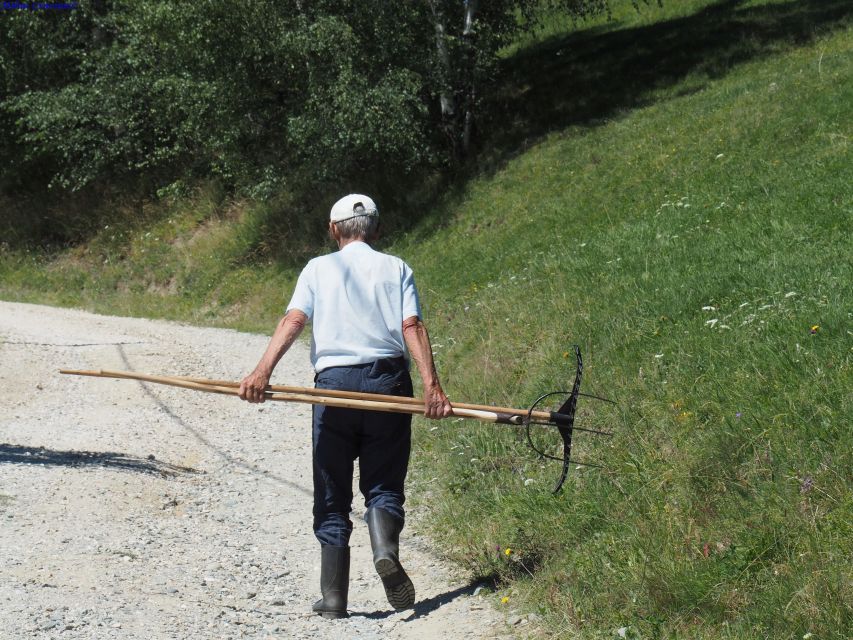From Brasov: Romanian Mountain Villages Day Tour - The 45-minute ride from Brașov