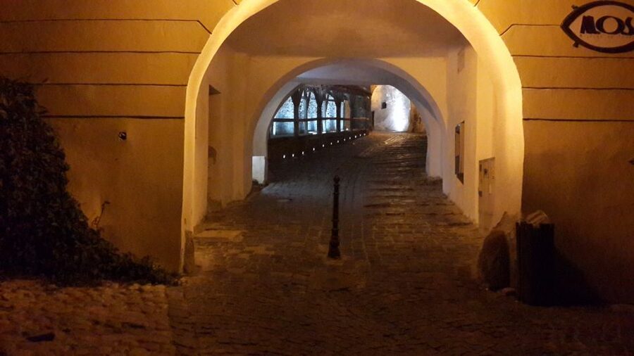 From Brasov: Sighisoara and Viscri UNESCO Day Tour - How to use your free time in Sighișoara