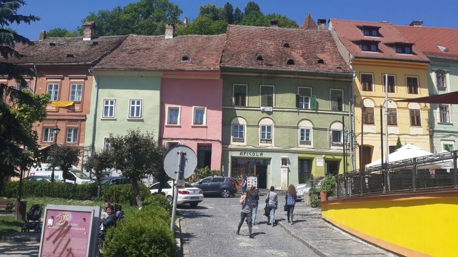 From Brasov: Sighisoara and Viscri UNESCO Day Tour - Timing, weather, and who should book