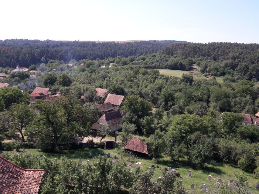 From Brasov: Sighisoara, Viscri, and Rupea Unesco Day Trip - Rupea Fortress and its three defensive walls