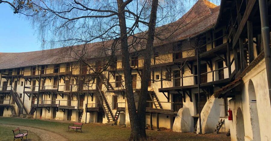 From Brasov: Small-Group Half-Day Fortified Churches Tour - Exploring Hărman’s Romanesque and Gothic details