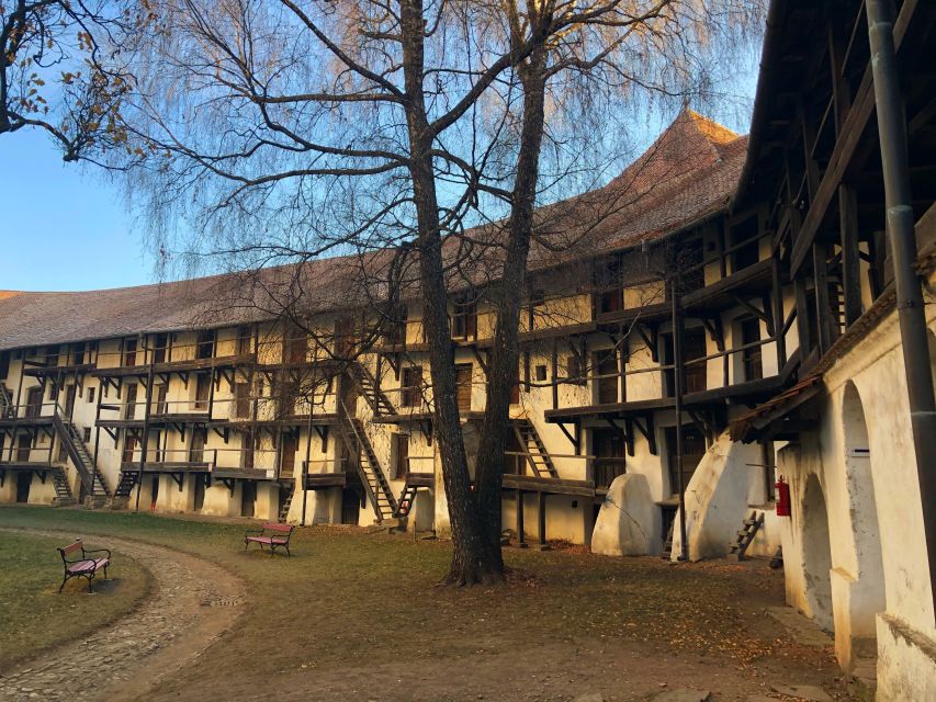 From Brasov: Small-Group Half-Day Fortified Churches Tour - A useful lesson in Transylvanian Saxon history