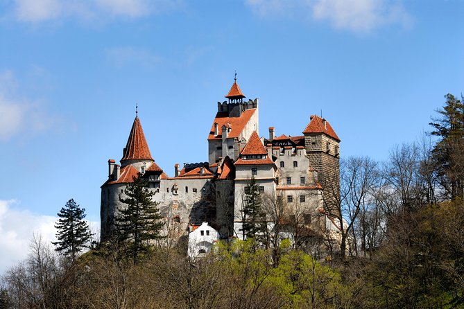 From Brasov: Small-group tour Bran, Rasnov, and Peles Castles - What this Brașov castle day is really like