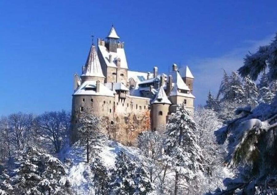 From Bucharest: 2-Day Tour to Brasov and Sighisoara - Is $370 per person good value?