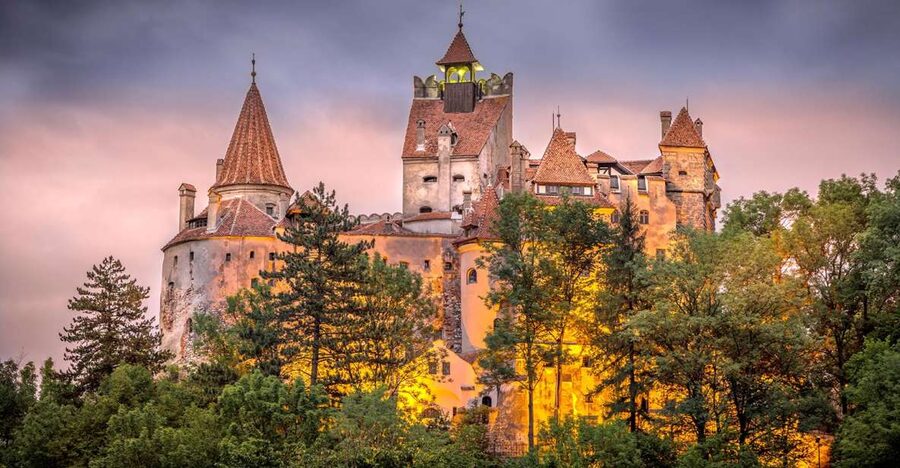 From Bucharest: A Taste of Transylvania: Private Tour - Guides, driving, and the human side of the day