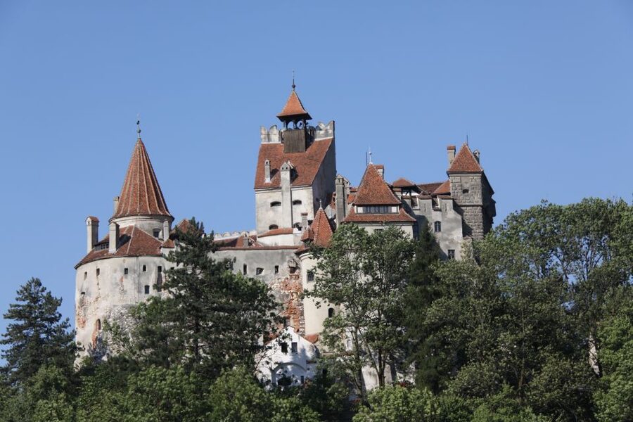 From Bucharest: Bear Sanctuary and Dracula Castle Day Tour - What the eight-hour schedule feels like
