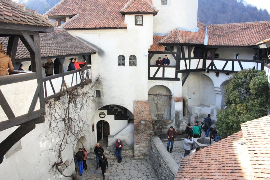 From Bucharest: Bear Sanctuary and Dracula Castle Day Tour - What to bring and what not to expect