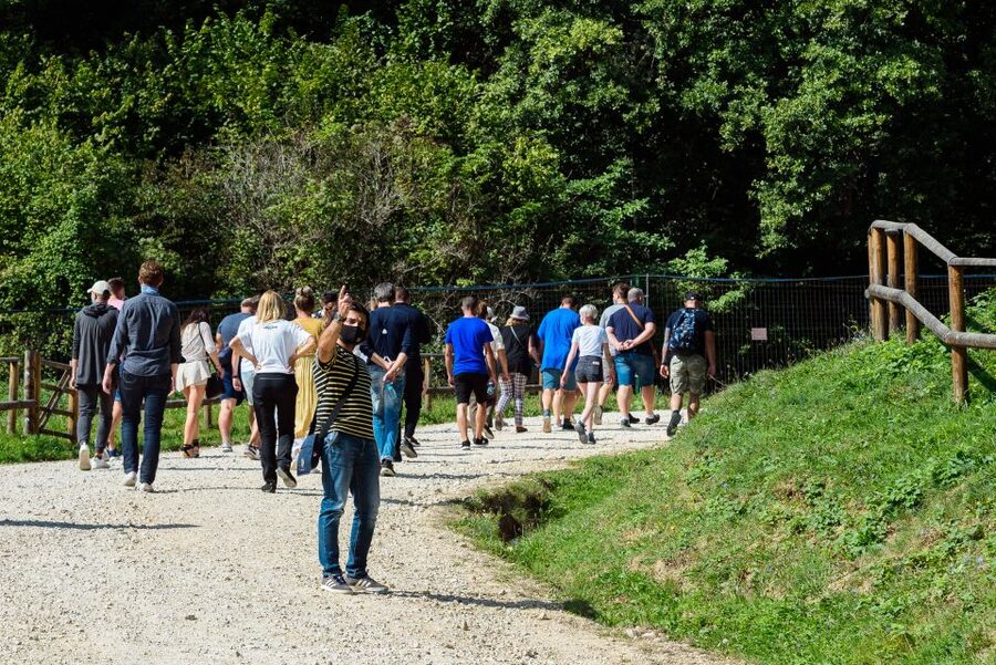 From Bucharest: Bear Sanctuary and Dracula Castle Day Tour - Meeting the bears near Zarnesti