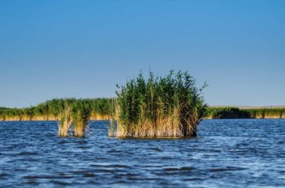 Day Trip to Danube Delta