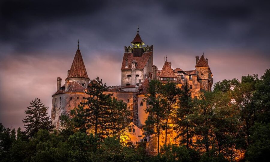 From Bucharest: Day Trip to Dracula and Peles Castle - Peles Castle: the day’s most polished sight