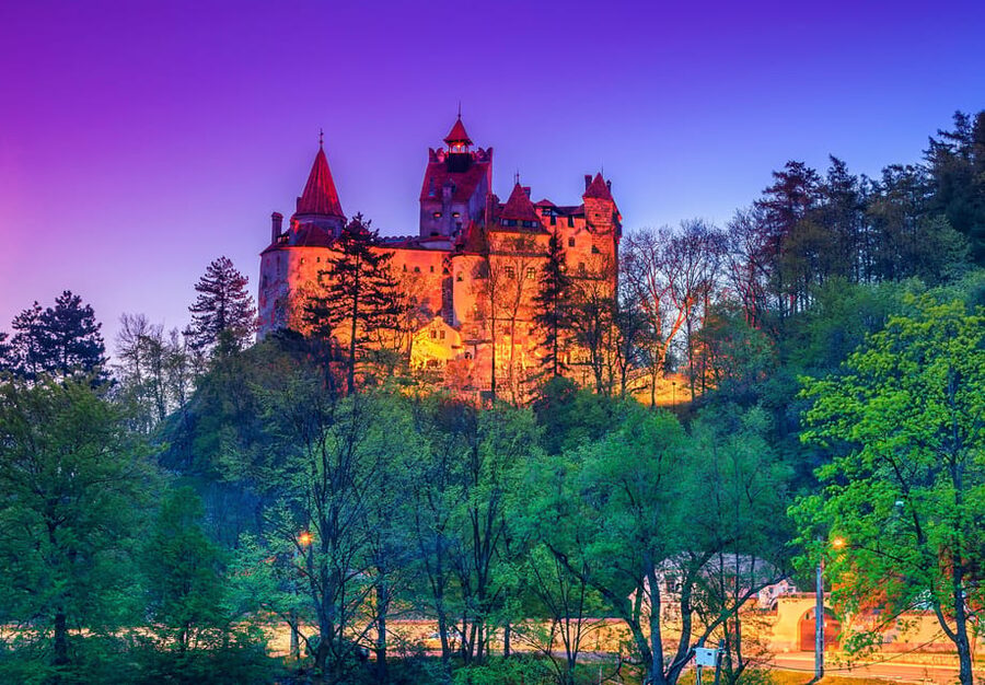 From Bucharest: Day Trip to Peles, Dracula's Castle, Brasov - Who will get the most from this trip?