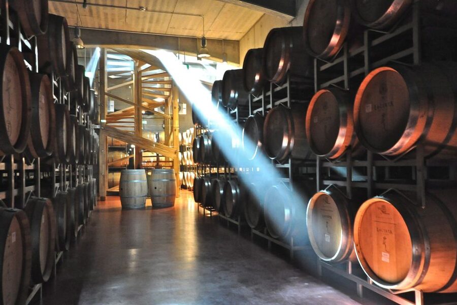 From Bucharest: Exclusive Dealu Mare Wine Tasting Tour - A short lunch break, with food at your own cost