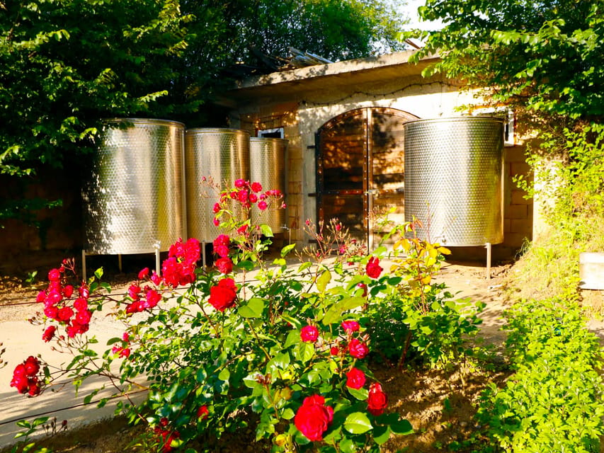 From Bucharest: Exclusive Dealu Mare Wine Tasting Tour - 1000 Chipuri: a more personal family-winery visit