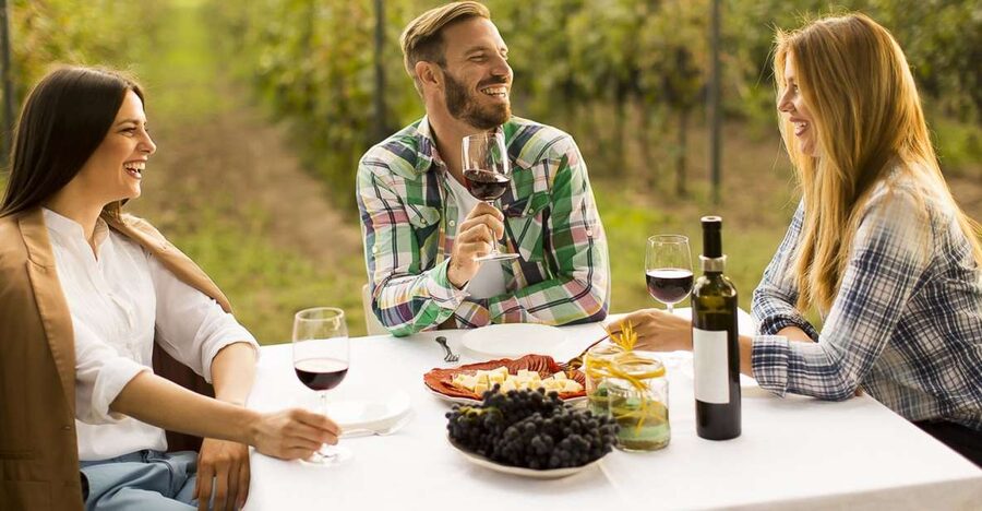 From Bucharest: Exclusive Dealu Mare Wine Tasting Tour - What the guides add to the day