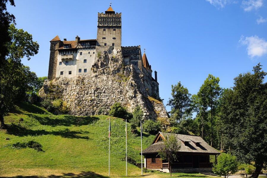 From Bucharest: Libearty Bear Sanctuary and Dracula's Castle - Why this makes sense from Bucharest