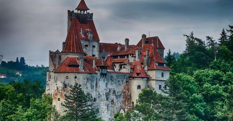 From Bucharest: Peleș and Bran Castles Private Tour - What the private transport adds