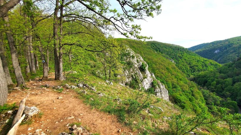 From Cluj: Gorges of Crisul Repede River - Why the Crisul Repede Gorges make a fine escape from Cluj