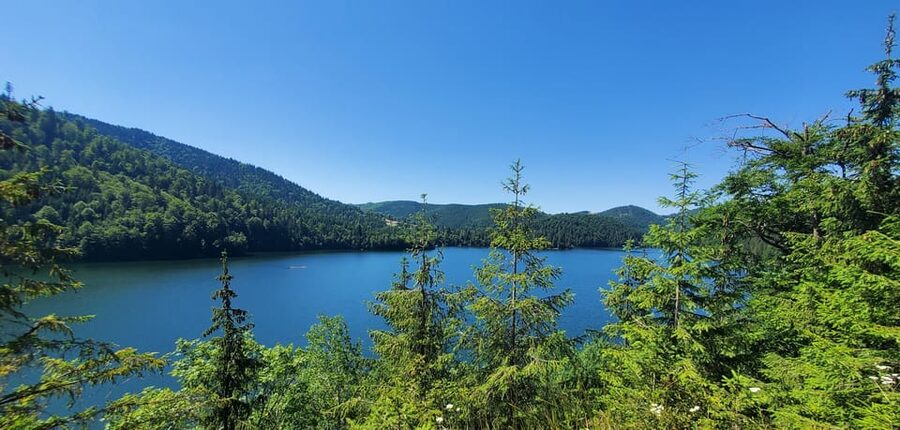 From Cluj: Mountain Bike around Lake Dragan - What the $163 price means