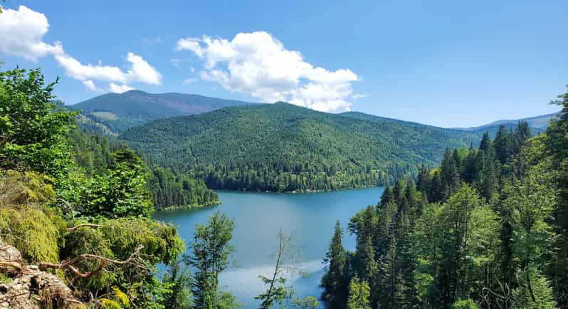 From Cluj: Mountain Bike around Lake Dragan - Starting in Cluj at Piața Unirii 25