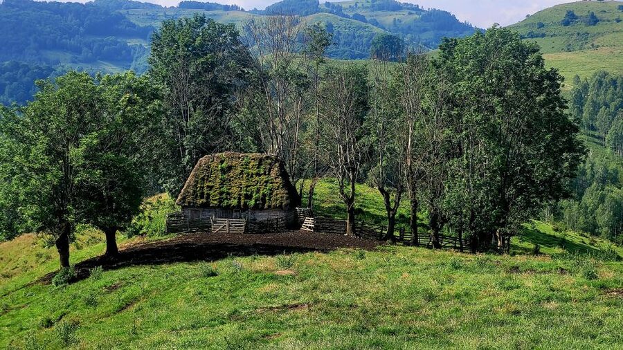 From Cluj-Napoca: Apuseni Mountains Hiking Guided Day Tour - Sipote Waterfall and Dumesti village