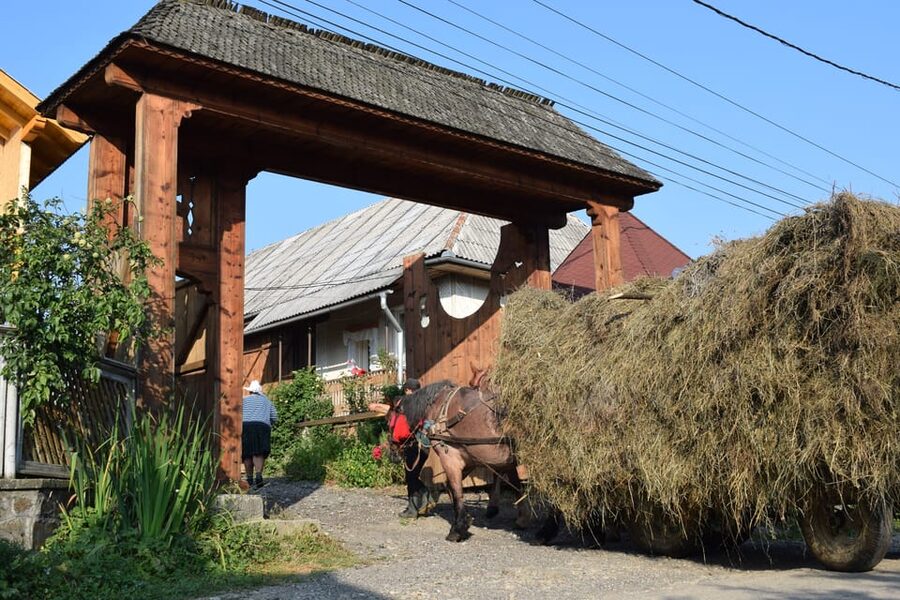 From Cluj-Napoca: Maramures Day Tour - Sapanta’s Merry Cemetery and its bright humor