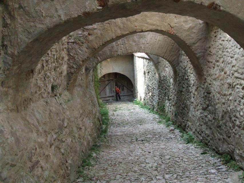 From Cluj: Sighișoara and Church of Biertan Guided Tour - The road across the Transylvanian highlands