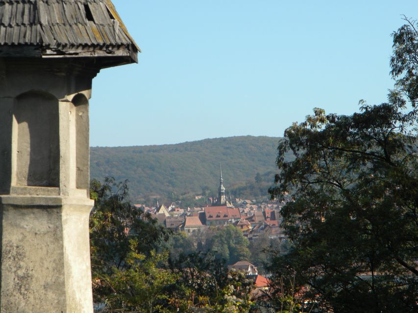 From Cluj: Sighișoara and Church of Biertan Guided Tour - Biertan and its fortified church